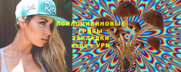 прущая мука Алзамай
