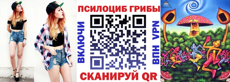 Псилоцибиновые грибы Cubensis  Калач-на-Дону 